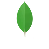 MongoDB
